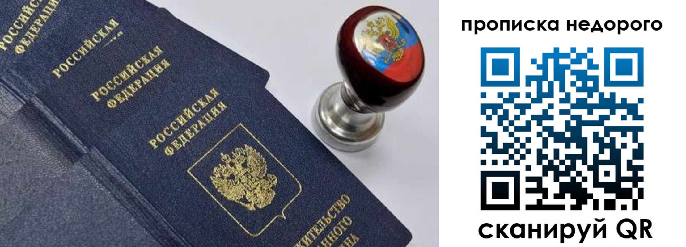 прописка для школы в Коврове